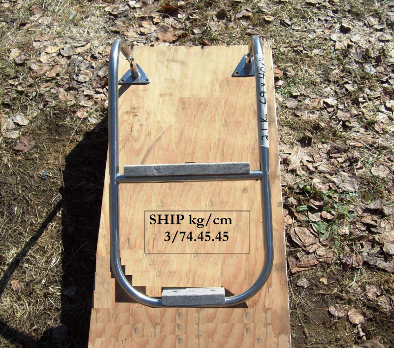 (image for) 2-STEP BOARDING LADDER SWIM PLATFORM
